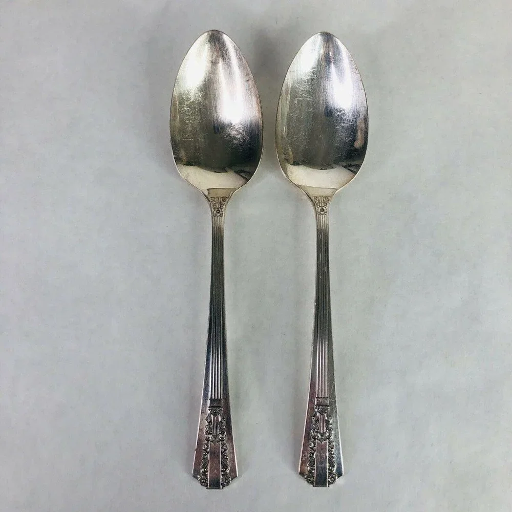 2 Tablespoon Serving Spoon Wm A Rogers Oneida Sectional Lido Pattern Silverplate